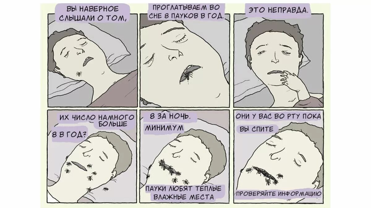 Сколько человек съедает во сне. Человек съедает 8 пауков во сне. сколько пауков съедает человек во сне. сколько спят пауки. за год человек съедает пауков.