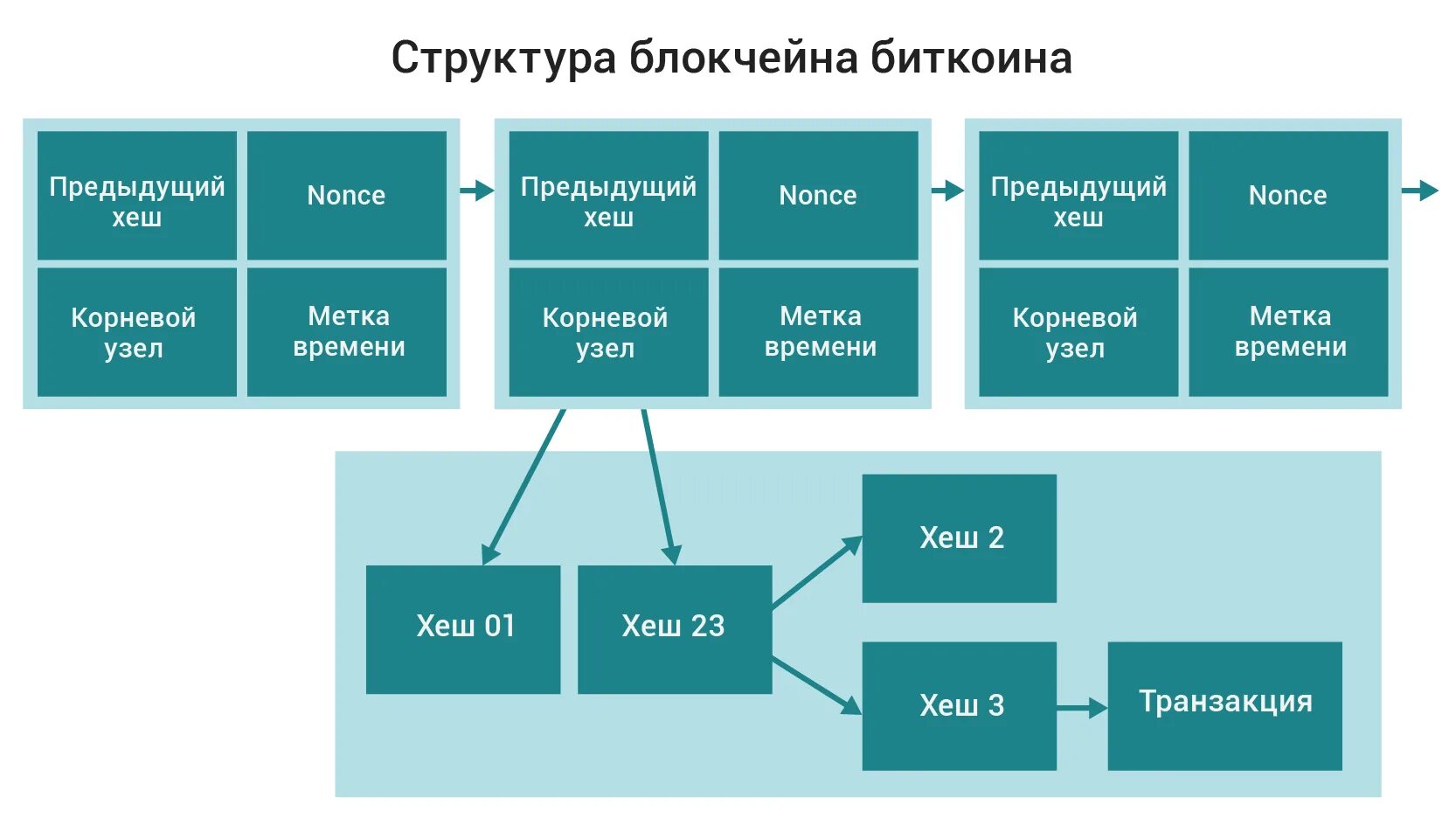 Структура блока в блокчейне. Блокчейн структура. Блокчейн схема блоков. Структура блока блокчейн. Как работать с криптовалютой