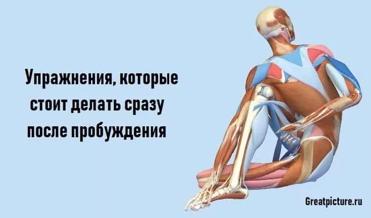 Гимнастика фараонов. Тренировка после пробуждения. Гимнастика фараонов упражнения. Сразу после пробуждения.