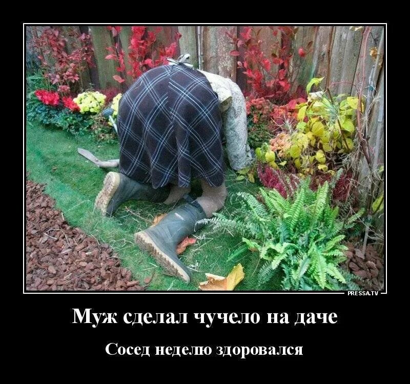 Сосед увидел. Человек у окна. Николас рот привет сосед. Бог видит всё. Мультик привет сосед 2.