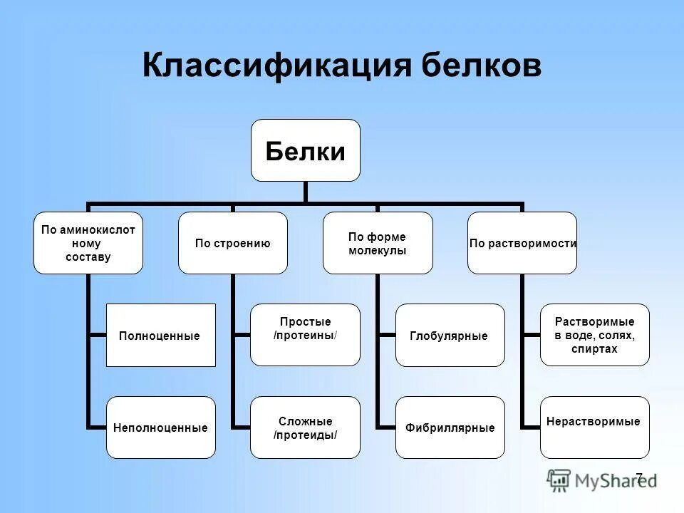 Основные группы белков