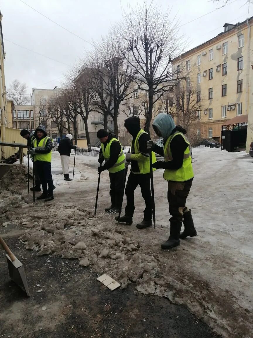 Улица двор. Уборка территории 9 11. Тульская улица. Ярославль ул Некрасова д 62.