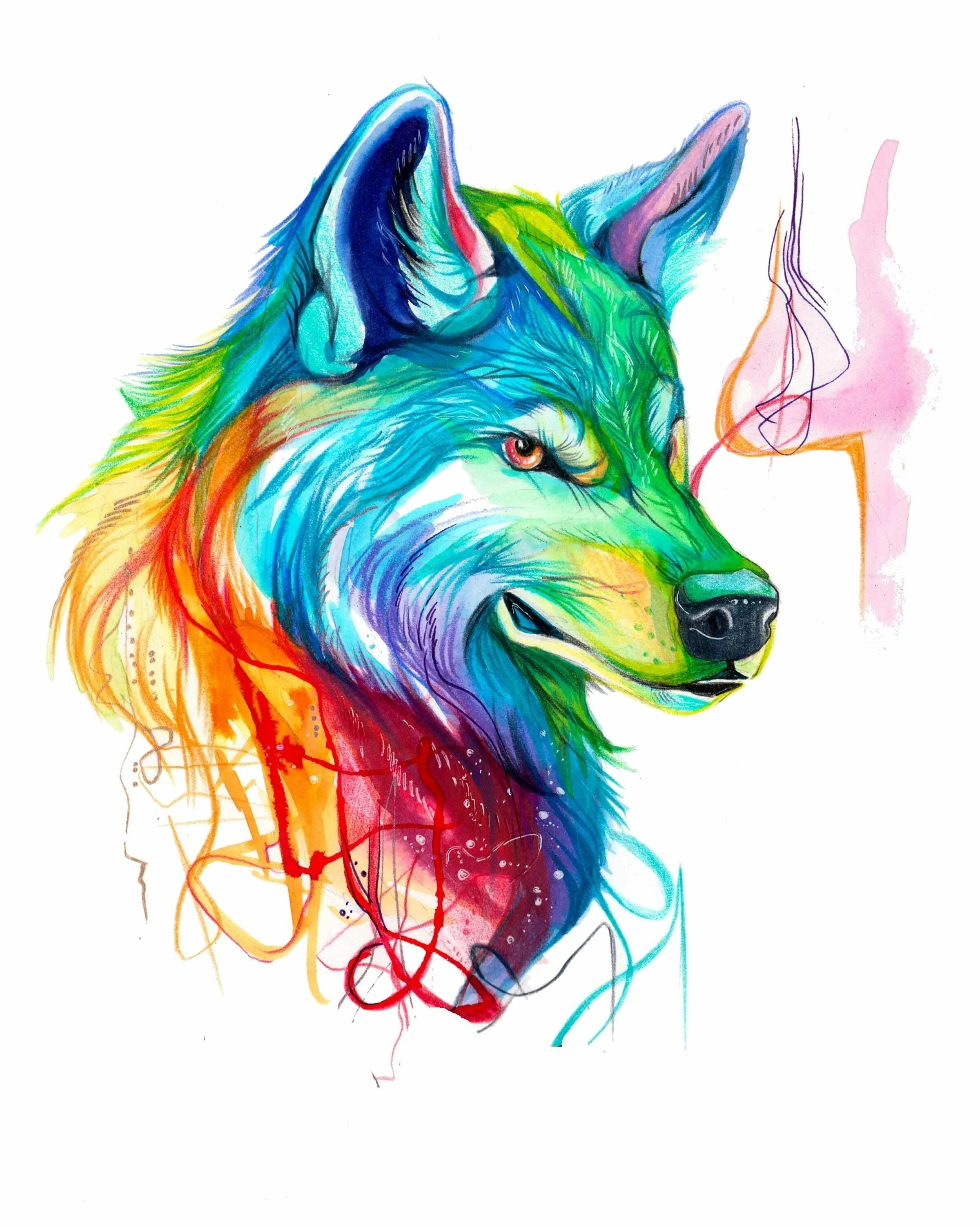 Волки Кэти Липскомб. Волк арт. Рисунки цветные. Волк рисунок.