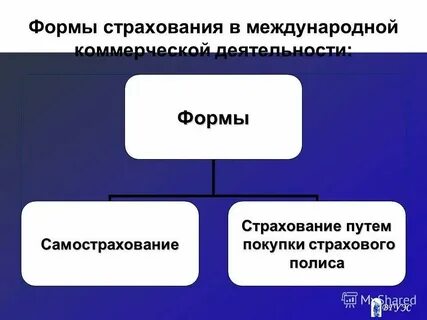 Аудит страховых организаций