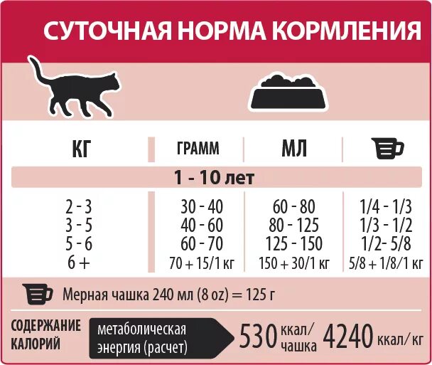 Количества корма для кошки в день