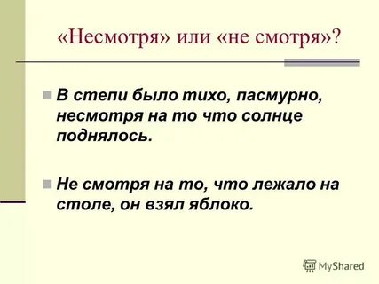 Как пишется несмотря или несмотря