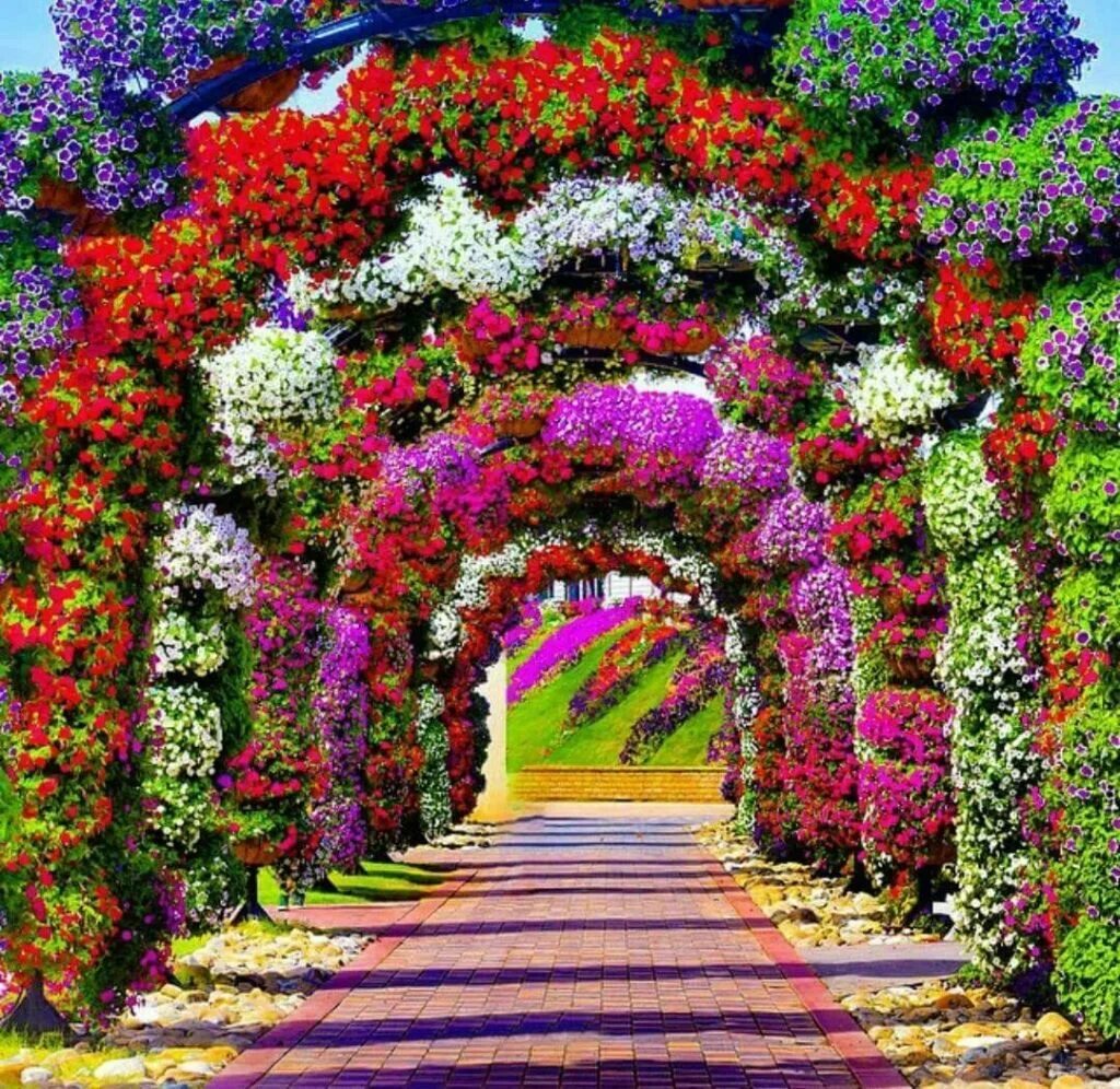 Flowers paradise. Сады Бутчартов сад роз. Сады Бутчартов розарий. Флауэрс Гарден парк. Цветочная аллея Айя Напа.