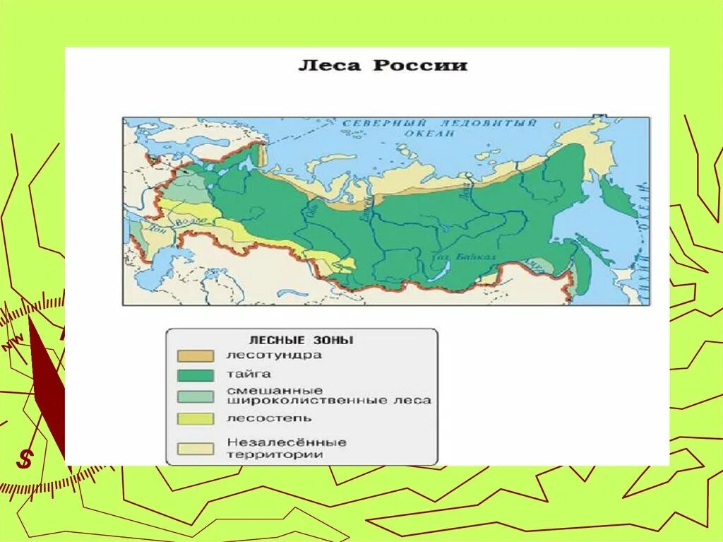 Темнохвойная Тайга на карте России. Зона тайги смешанных и широколиственных лесов на карте. Зона тайги на карте России.