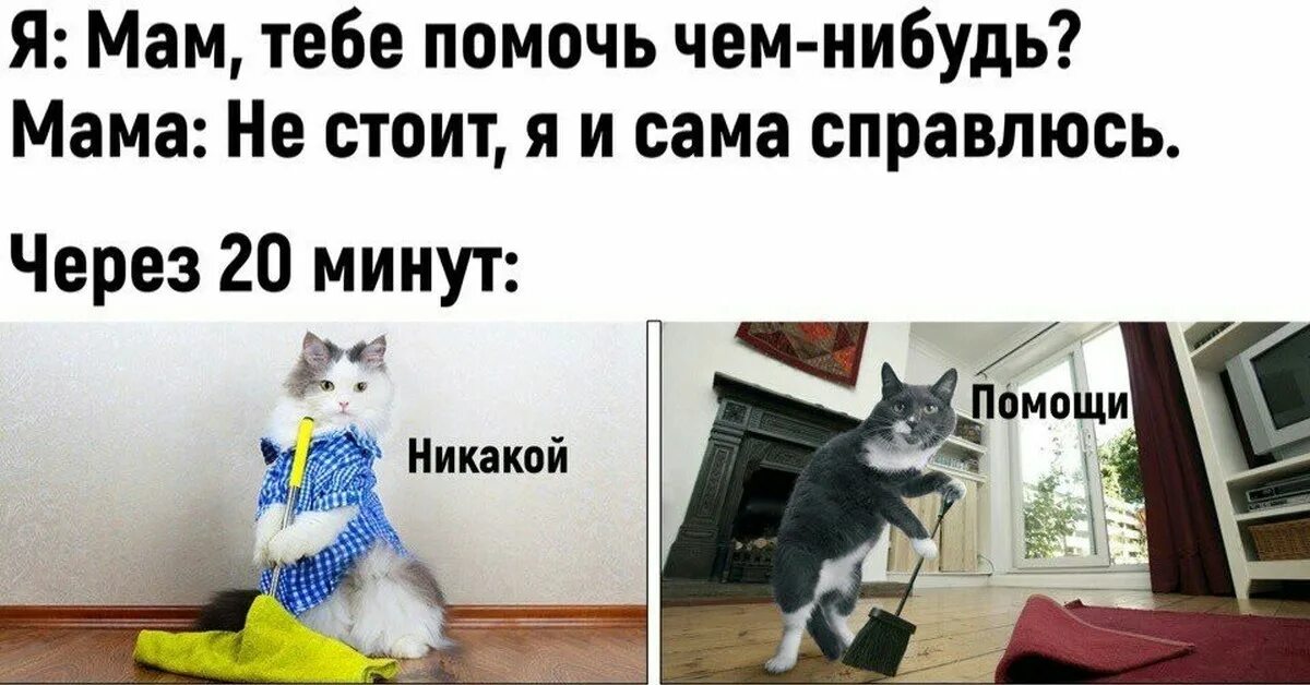 Шутки про уборку. Кот мемы уборка. Мемы про уборку с котами. Мама ты что что ты делаешь лена