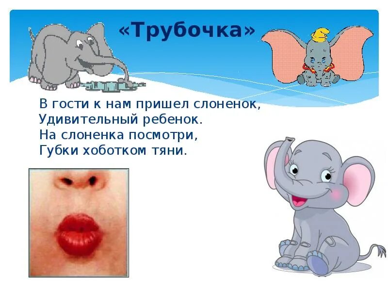 Слоник пришел. Слоны затоптали деревню 2022. Слоник пришел. Стадо слонов в зоопарке. Как правильно ставить слонов в доме.