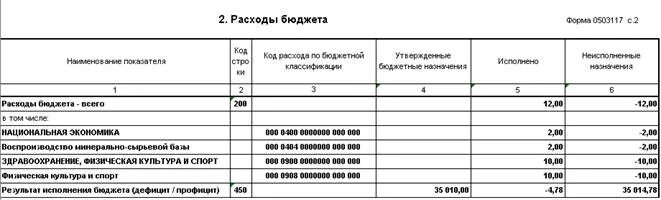 Форма 0503190 инструкция по заполнению. 0503117 форма отчетности. отчет по исполнению бюджета образец. отчет бюджета форма 0503117. 0503117 образец.