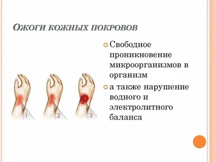 Состояние нормальных кожных покровов