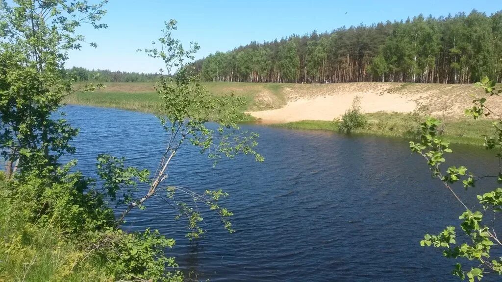 Озеро на участке. Одинцово озеро. Коттеджный поселок берновое озеро. Озеро васильевское сергиево-посадский. Озеро верято псковская область.