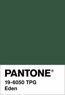 Pantone это