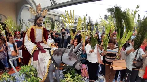 Palm sunday