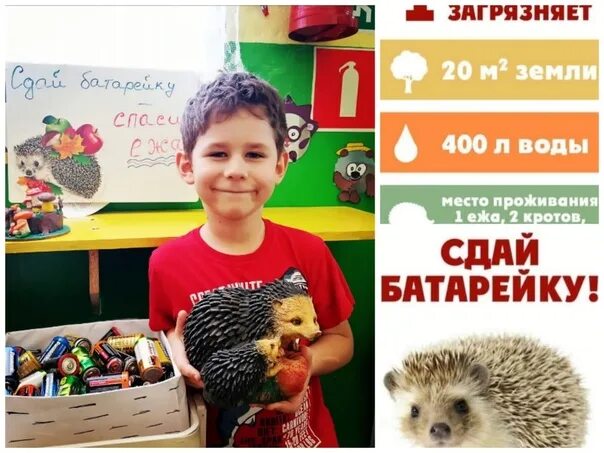 Акция спасем ежика батарейки. Акция батарейку принеси ежика спаси. сдай батарейку спаси ежика плакат. акция сдай батарейку спаси ежика. сдай батарейку спаси ежа.