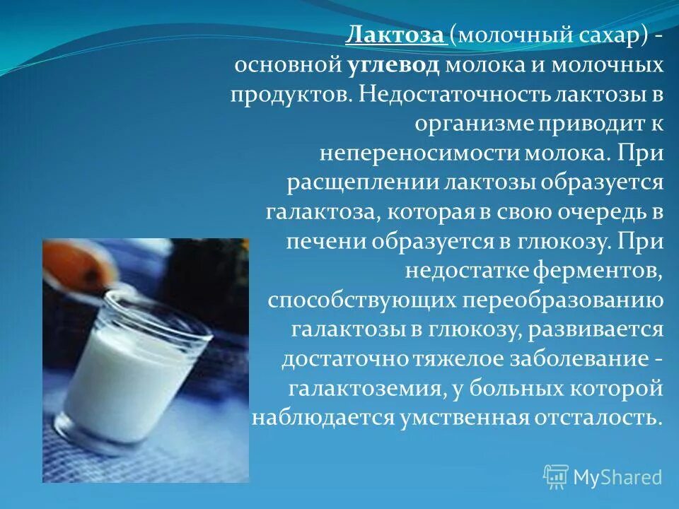 Какие продукты приводят молоко. Лактоза молока. Лактоза в молочных продуктов. Лактоза в молоке. Лактоза в молочных продуктах.