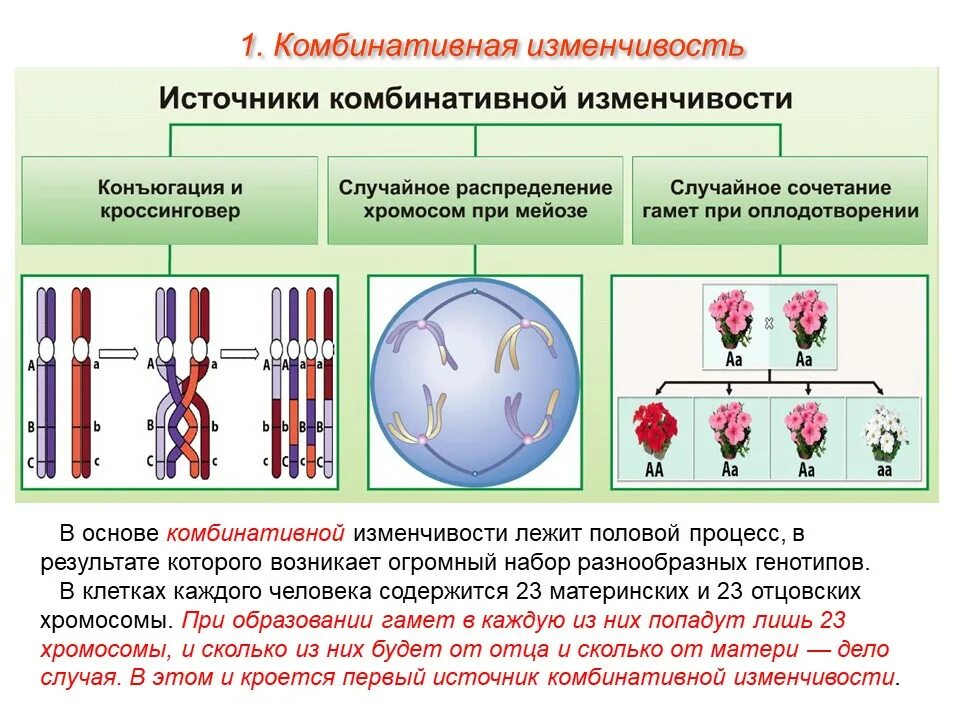 Изменение наследственной генетической информации