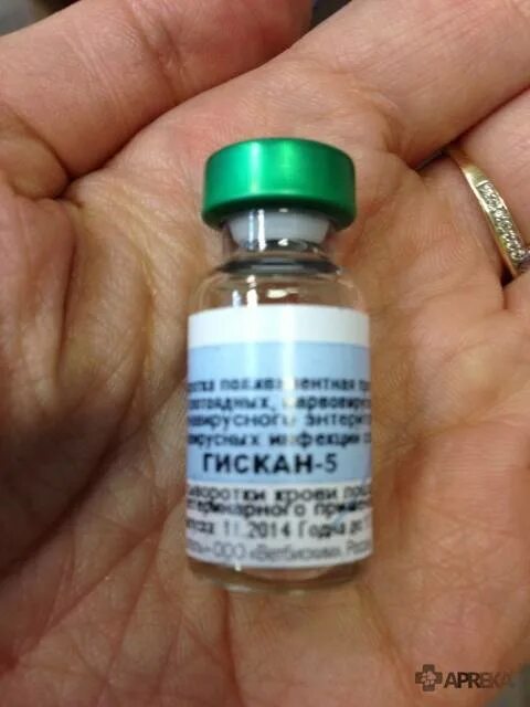 Сыворотка для животных гискан5. Можно собакам сыворотку. Иммуноглобулиновые препараты для животных. Можно собакам сыворотку. Сыворотка гискан-5 (1фл=1доза) 1флакон.