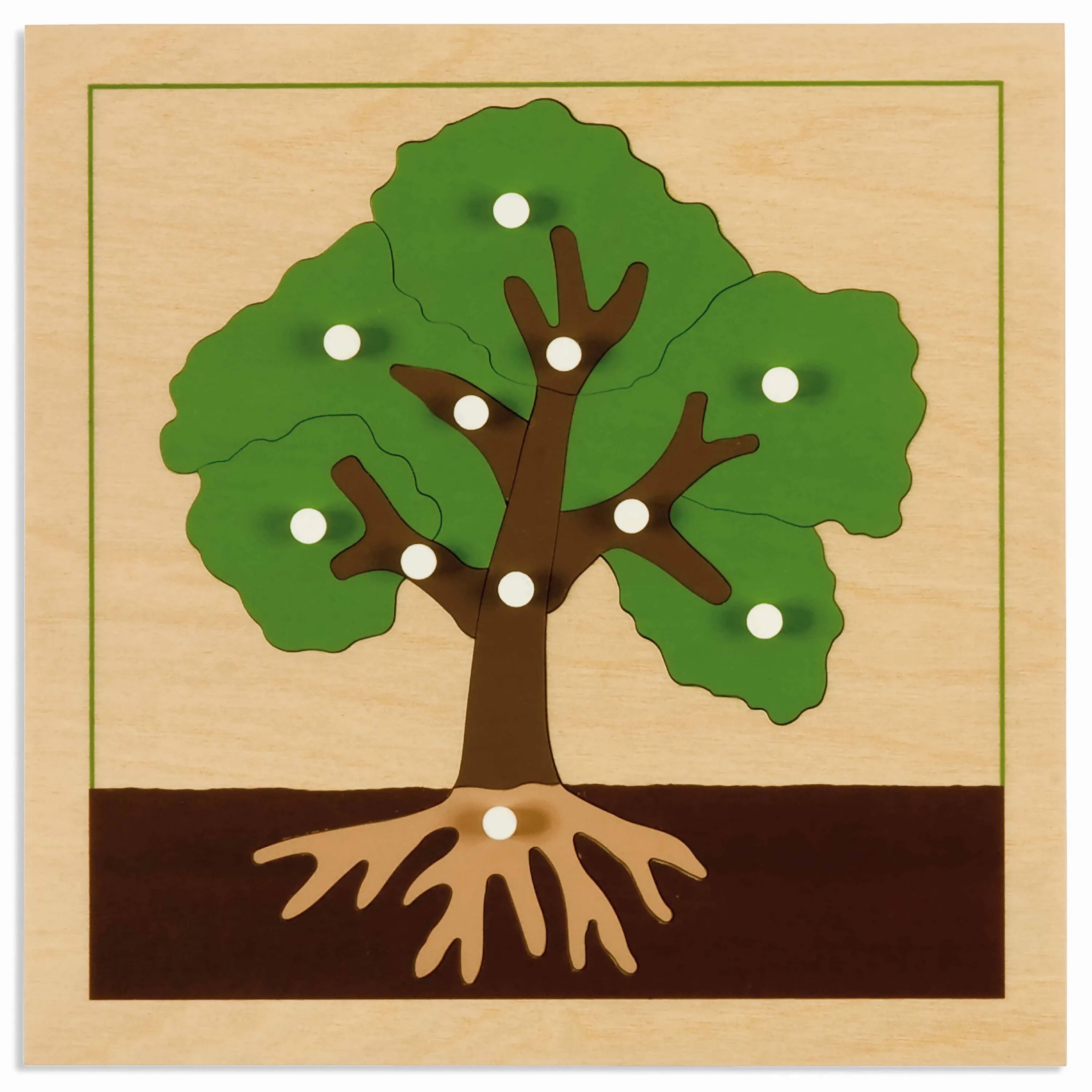 Деревья для дошкольников. Дидактическое дерево. Дерево для детского сада. Дерево для детей. Урок дерево 8 класс
