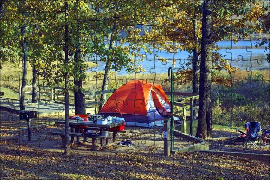 Camping outdoor. Кемпинг парк Ладога. Солнечная Поляна кемпинг. Телецкое озеро кемпинг с палатками. Питч кемпинг.