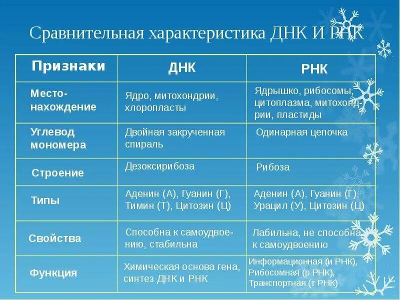 Признаки ДНК И РНК таблица. Строение и функции ДНК И РНК таблица. Строение ДНК И РНК таблица. Таблица по нуклеиновым кислотам РНК И ДНК.