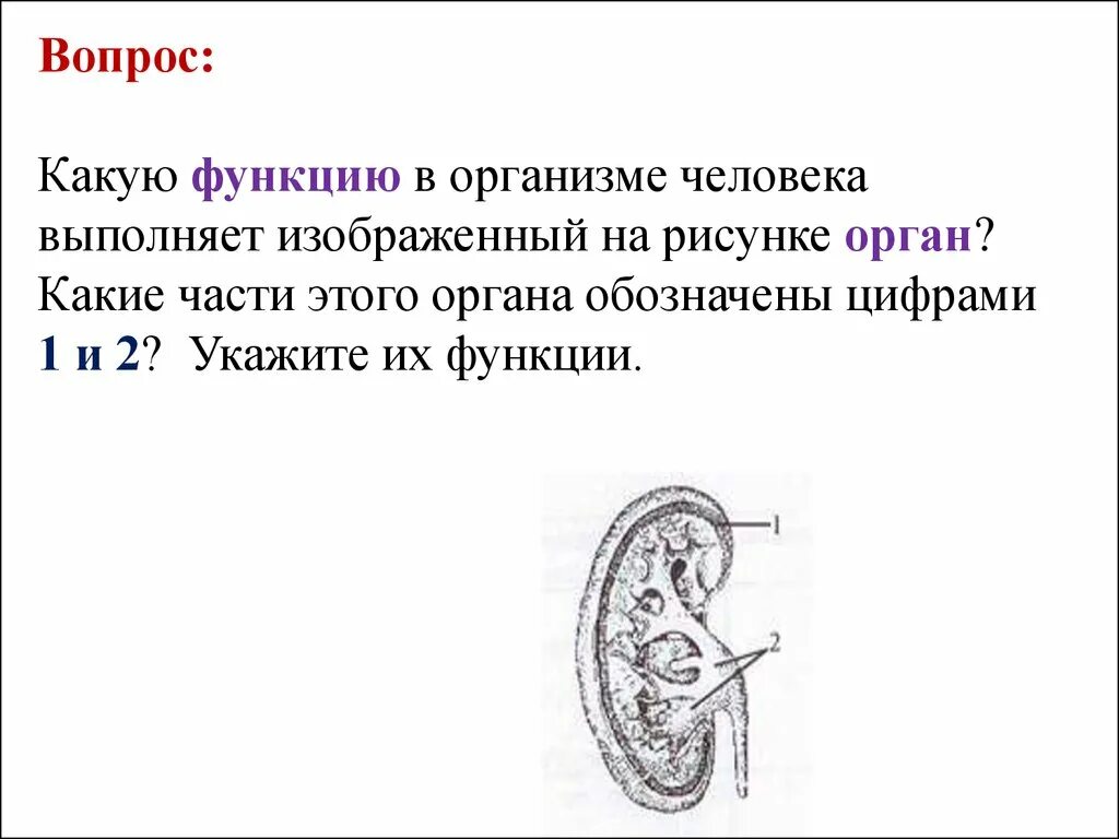 Выполняемых ею функций а также. Выполняемых ею функций а также