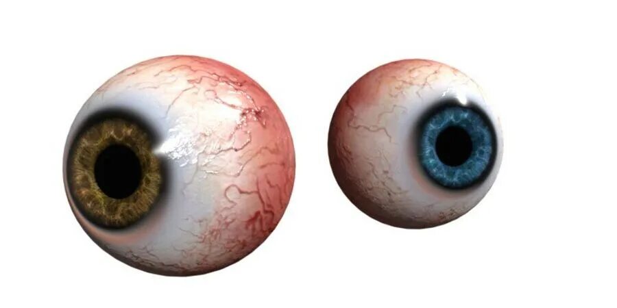 Eye 3d model
