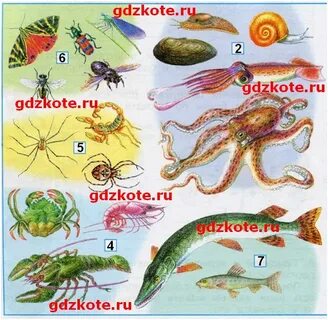 На этих рисунках папа сережи и нади