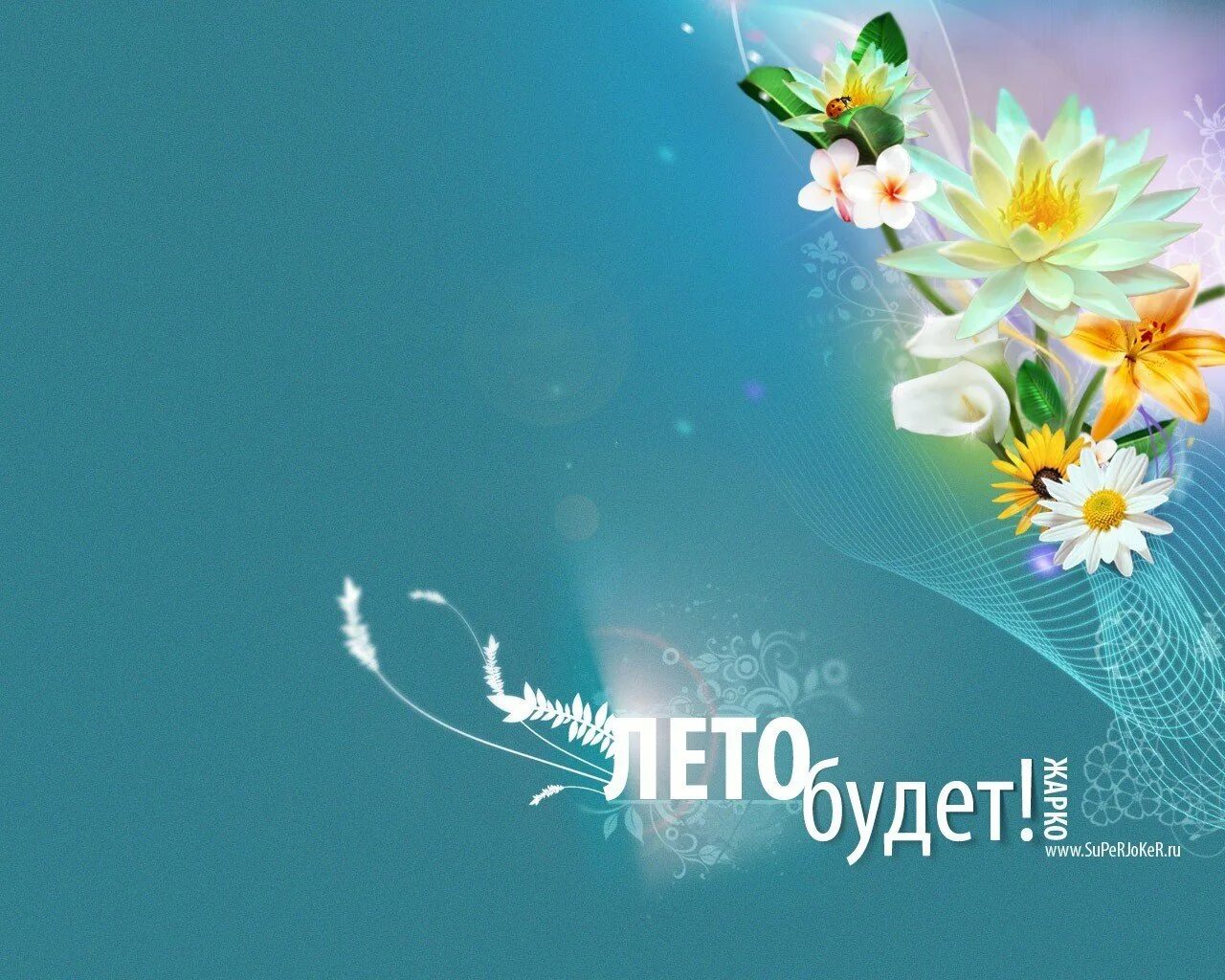 Яркая природа. Скоро лето. Здравствуй лето. Красивое лето. Скоро лето цветы.