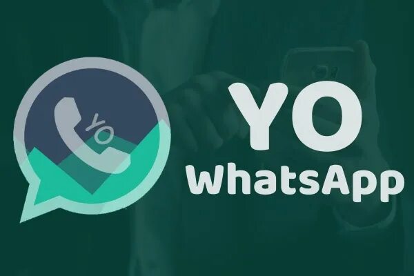 Yowhatsapp3. Йо ватсап броу.