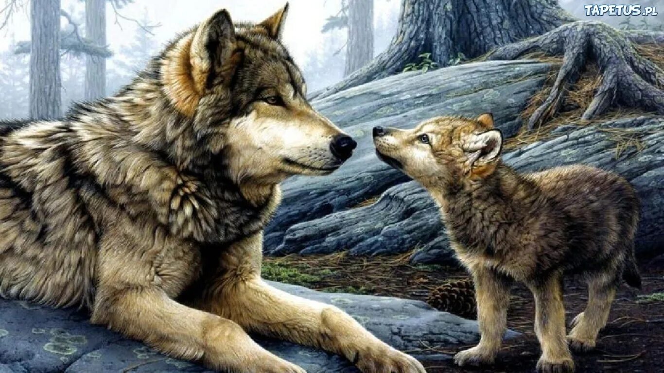 Каково быть животным. Каково быть животным. Скрещивание разных животных. Стихотворение про волчицу и волчонка. Каково быть животным.