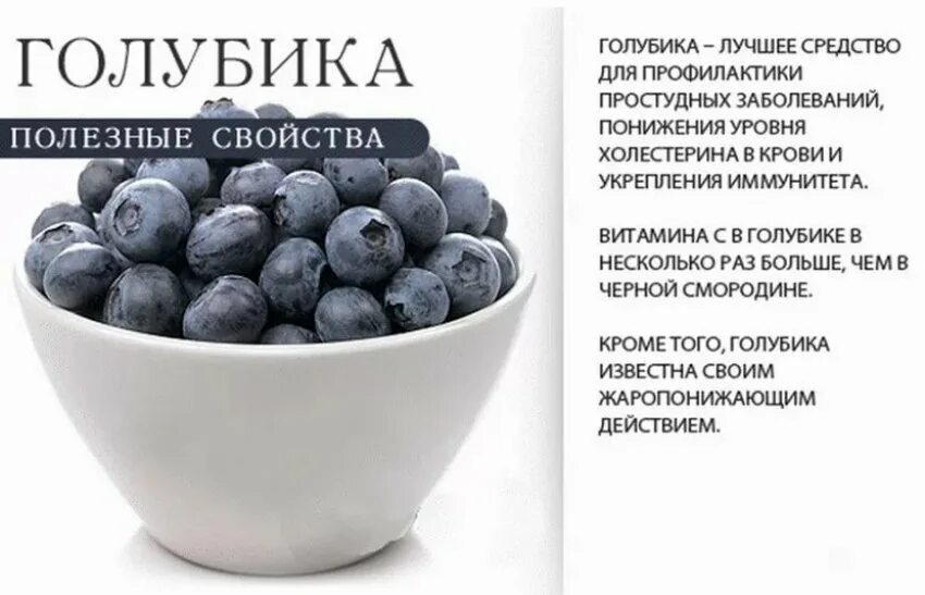 Голубика полезные свойства. Ягода голубика полезные. Ягода голубика полезные свойства. Чем полезна голубика полезные свойства