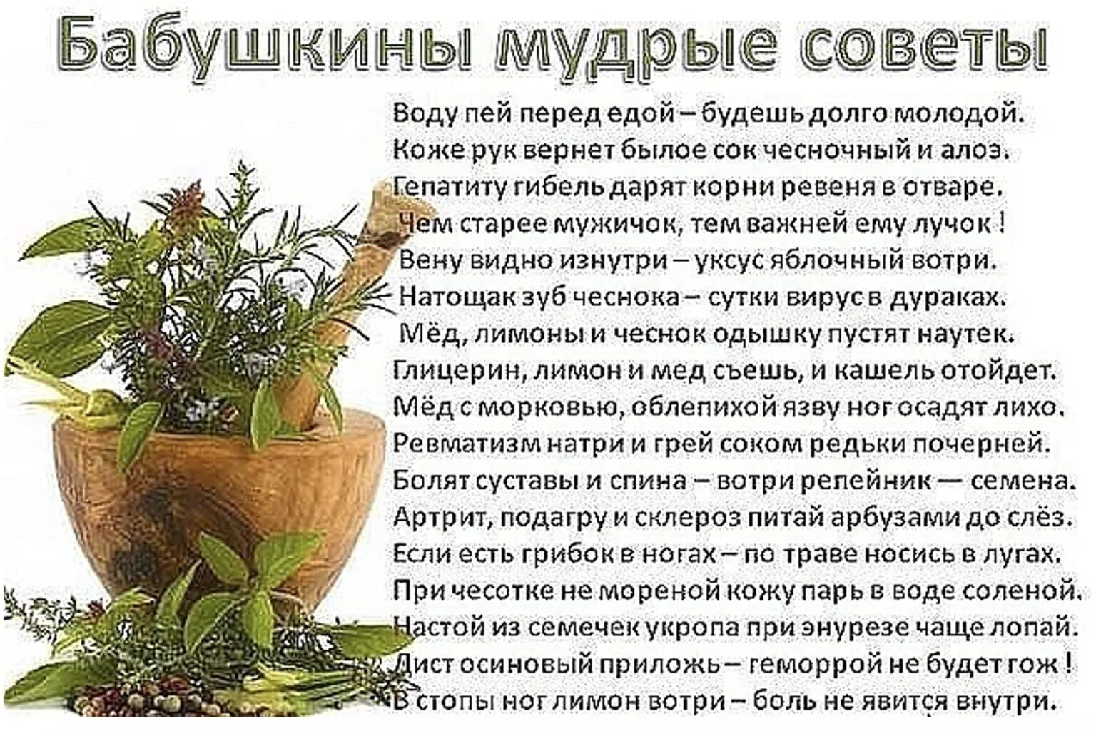 Давать мудрые советы. Мудрые советы. бабушкины советы мудрости. полезные советы бабушкины советы. бабушкины советы мудрые советы.