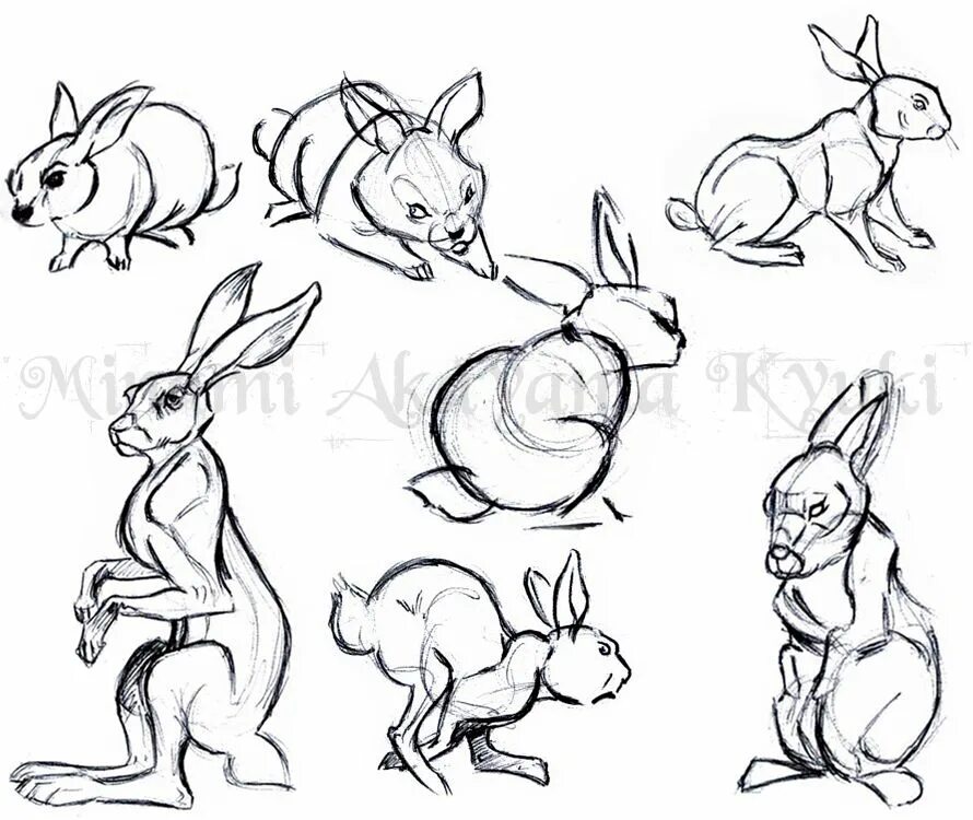 Кролик референс для рисования. Зайчик референс. Набросок животного. Заяц референс. Рисунки кролик наброски легкие.