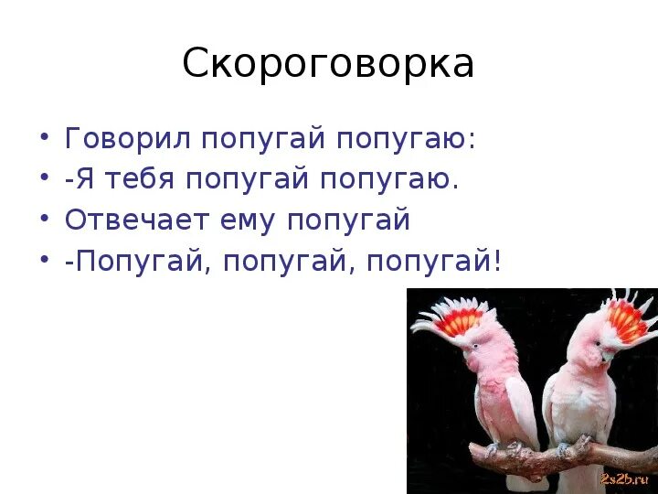 Какие слова говорят попугаи. Говорилпапугай паругаю. Скороговорка попугай говорит попугаю. И сказал попугай попугаю. Скороговорку я тебя попугай попугаю.