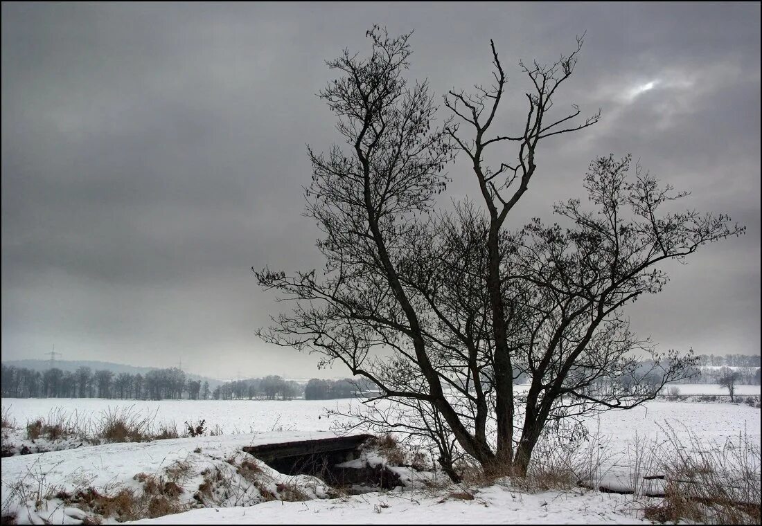 2 дня пасмурно. Пасмурная весна. хмурая весна. пасмурно весной. пасмурный весенний день.