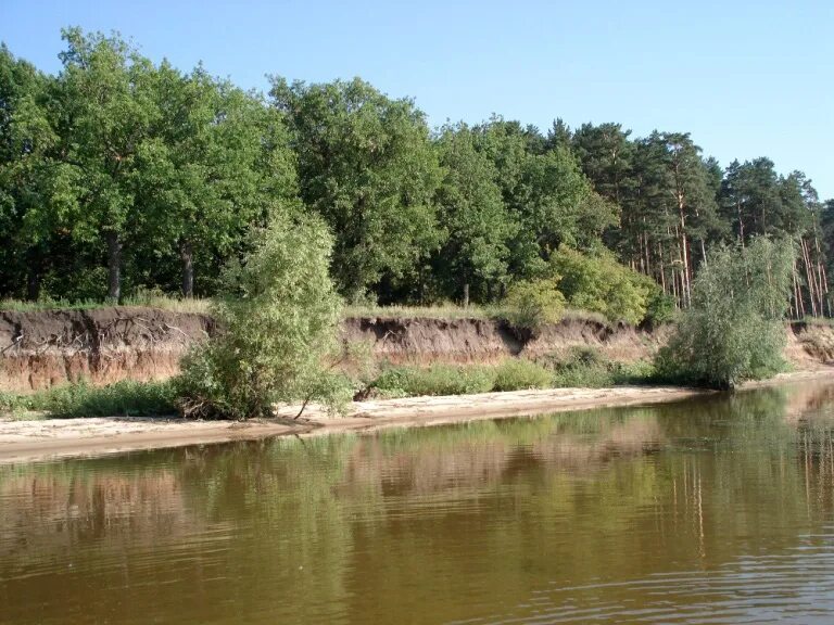 давыдовка самарская область приволжский. давыдовка приволжский. давыдовка самарская область приволжский район. лес приволжский район. давыдовка приволжский.