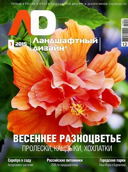 Лаванда на обложках журналов: Занимательные истории в журнале Ярмарки Мастеров