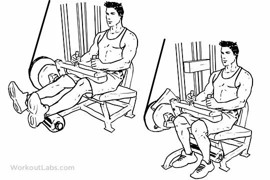 Curl упражнение. Seated hamstring curl упражнение. leg curl. hamstring leg curls. seated leg hamstring curl.