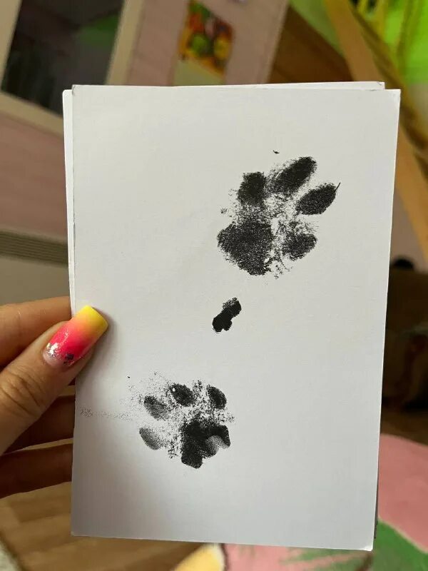 Слепок собачьей лапки. 3д слепок лап. 3д слепок с лапой собаки. Слепок лапы собаки. Татуировка кошачья лапка.