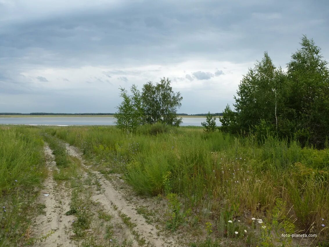 Погода белоногово. Село белоногово курганская область. Село белоногово курганская область. Старообрядческие центры урала. Погода белоногово.