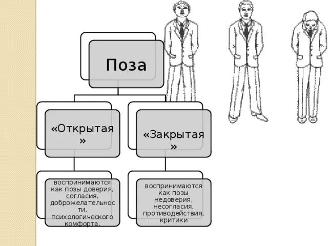 Открытые и закрытые позы. Закрытые и открытые позы в психологии. Открытая поза в психологии. Открытая и закрытая поза.