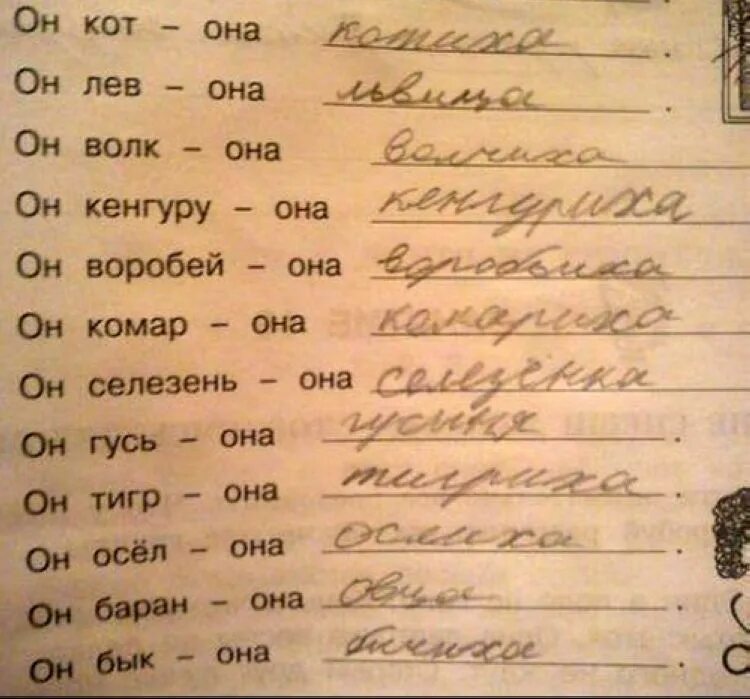 Смешные ошибки в сочинениях. Смешные сочинения. стебные сочинения школьников. смешные сочинения учеников. детские сочинения приколы.
