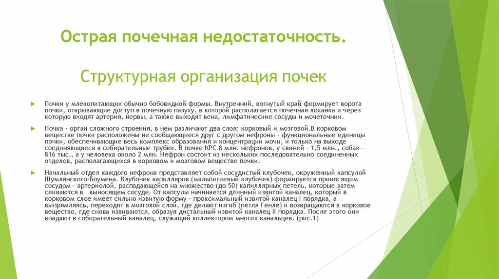 Паллиативная помощь при хпн. Протокол оказания паллиативной помощи. виды паллиативной помощи. паллиативная помощь хпн. стадии паллиативной помощи.