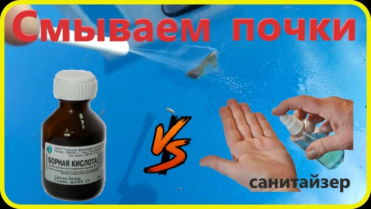Чем смыть мочу. Чем отмыть тополиные почки с автомобиля. средство от тополиной смолы. средство от тополя для машины. средство для отмытия тополя с автомобиля.