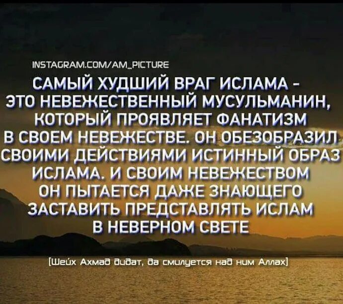 Хадис где говорится. Невежество в исламе. ислам хадисы. самый популярный хадис. лучшие хадисы.