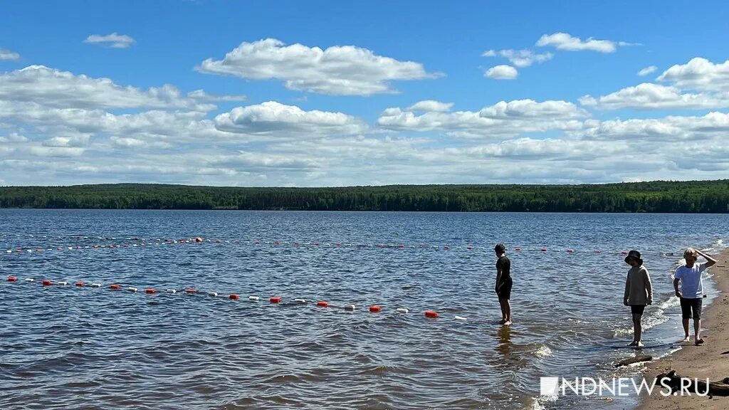 Утонули подмосковье. Купаться в Екатеринбурге. Лето пруд Россия день. Шиши Свердловская область где купаться. МЧС на воде.