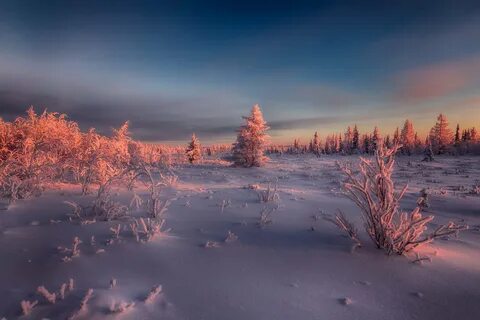 Природа севера картинки