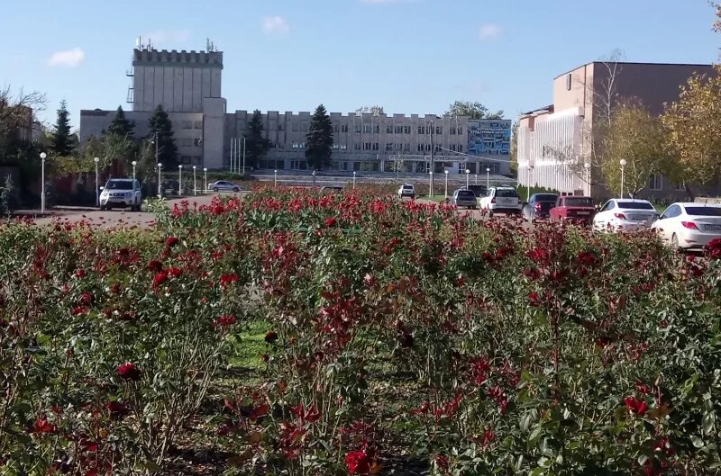 Погода п октябрьский краснодарский. Октябрьский Краснодарский край. Посёлок Октябрьский Краснодарский край. Октябрьский (Красноармейский район, Краснодарский край). Посёлок Октябрьский Краснодарский край Красноармейский район музей.